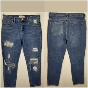 Pacsun Boyfriend Jeans Sz 26 Distressed